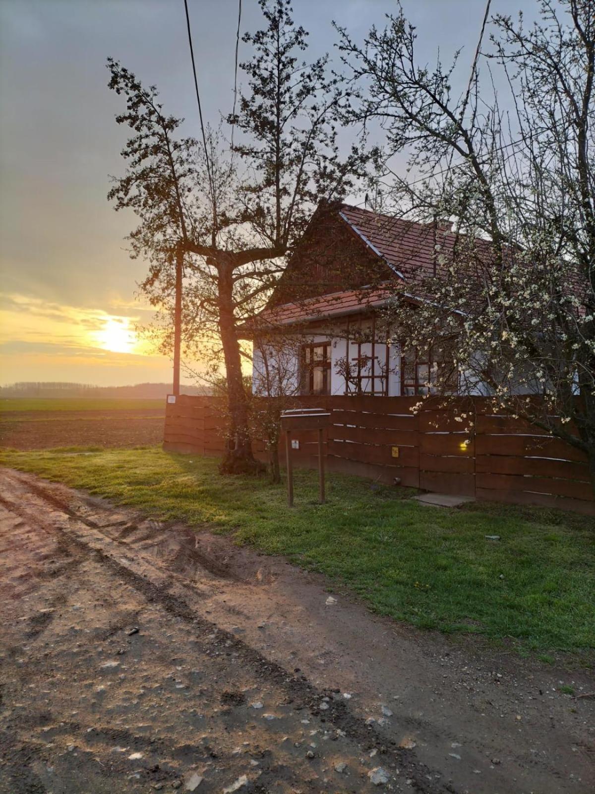 Tiszaglamping, The Belgian Hideaway Hotel Tiszacsege Eksteriør billede